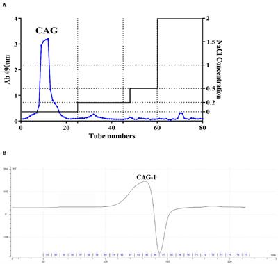 Immunomodulatory activity of glycoproteins isolated from chickpea (Cicer arietinum L.)